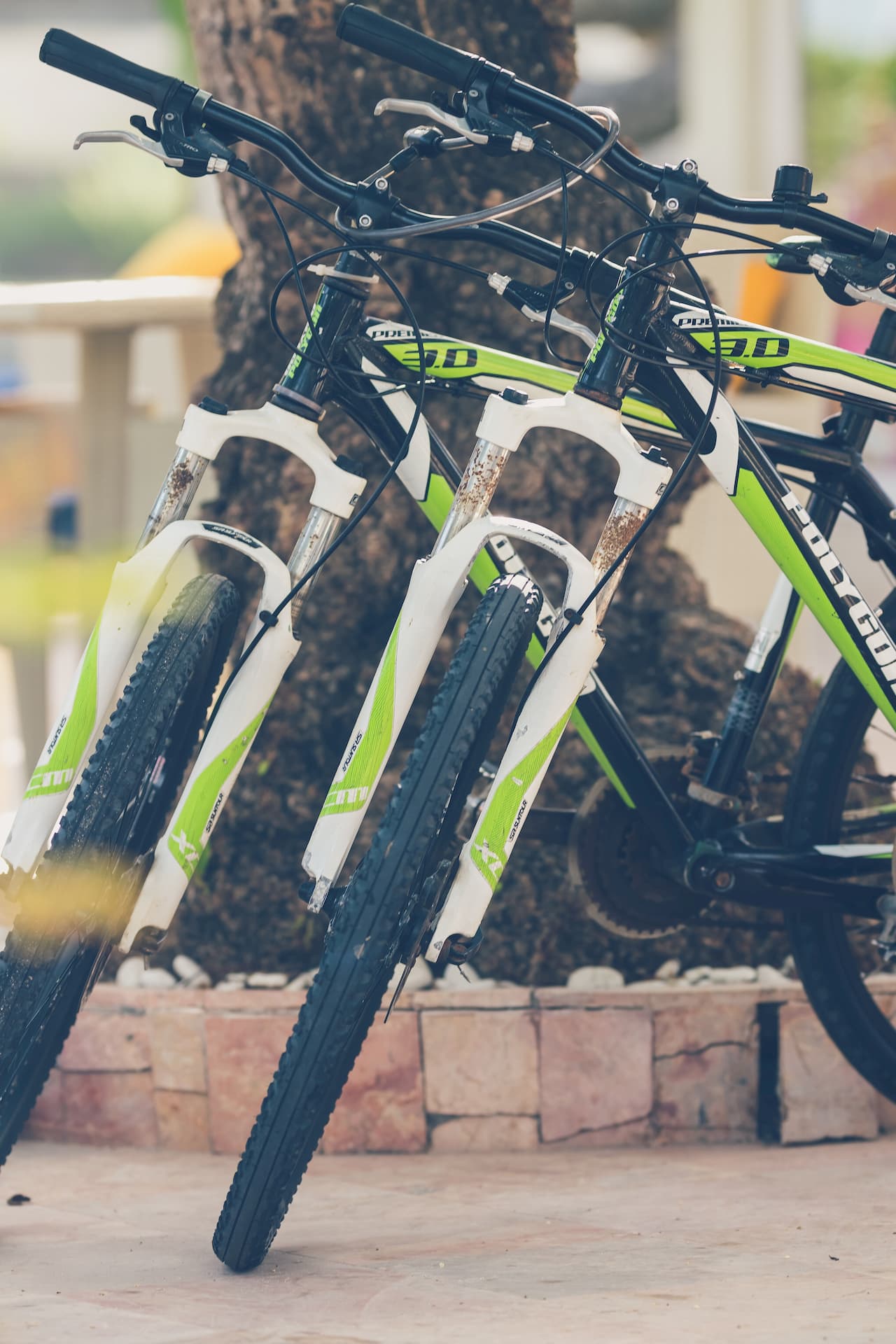 Nolo Bici Hotel Mondovì Cuneo Piemonte